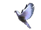 Dove of Peace