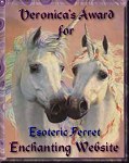 Enchanting Website