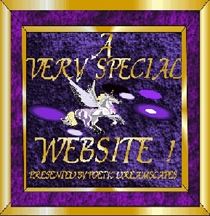 Very Special Site
Award