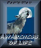 Awareness Award