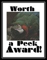 Worth a Look Award